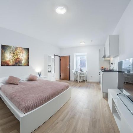 Apartment Klara Free Parking, Center PUY Eksteriør bilde